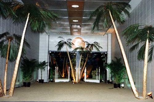 Fiesta decoration palm trees